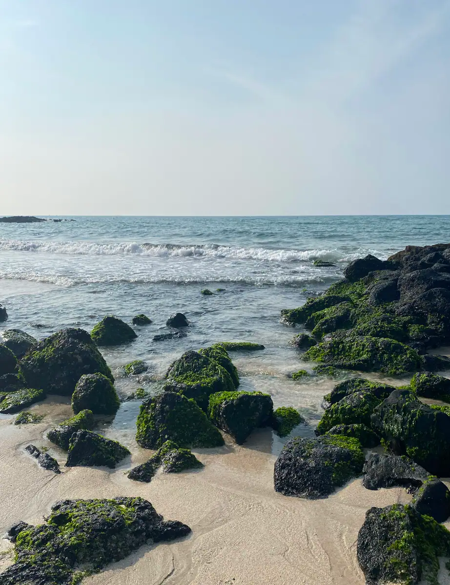 Black volcanic rock on the shore — Jeju coast