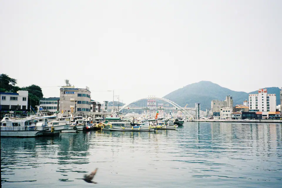 Fishing boats in the harbour below the hills — Tongyeong harbour